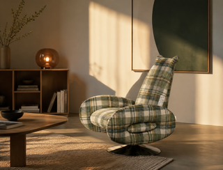 Original Snail Lounge Chair - Updated 4
